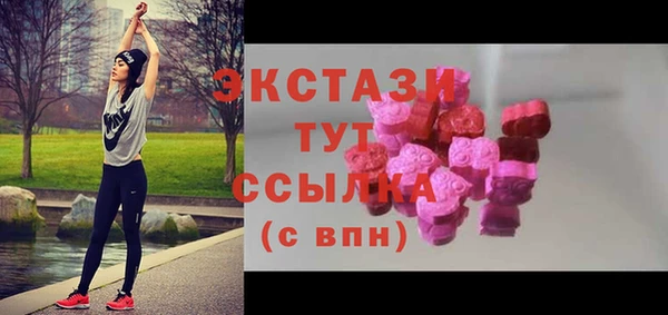 apvp Инсар
