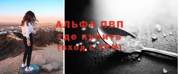 гашик Инта
