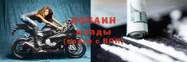 apvp Инсар
