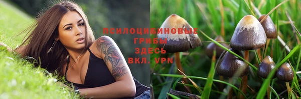гашик Инта