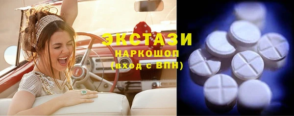 гашик Инта