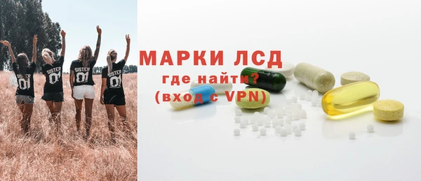 гашик Инта