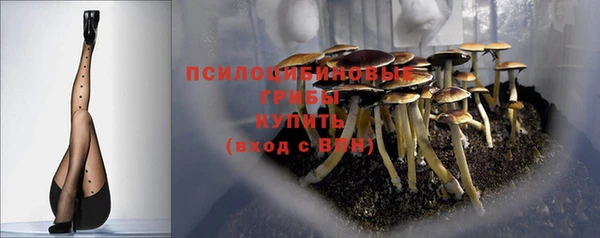 трава Иннополис