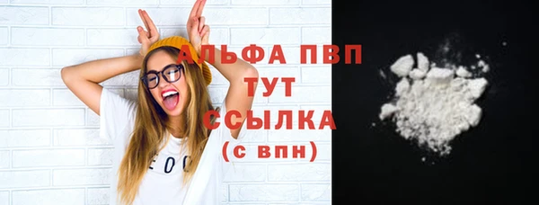 гашик Инта