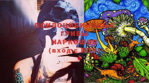 apvp Инсар