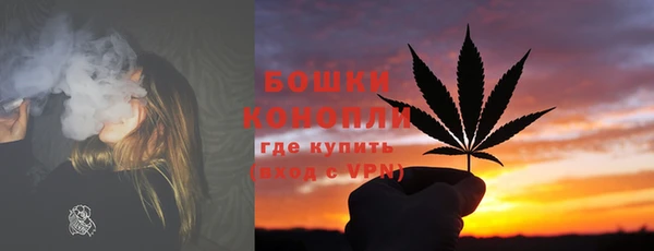 гашик Инта