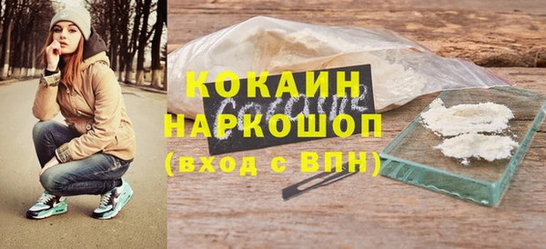 apvp Инсар