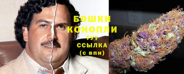 apvp Инсар