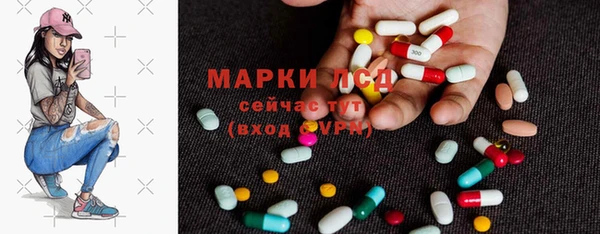 apvp Инсар