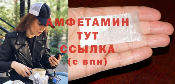 apvp Инсар