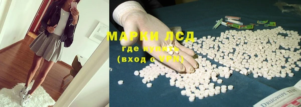 гашик Инта