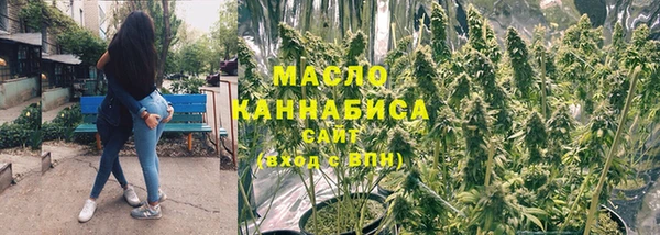 гашик Инта