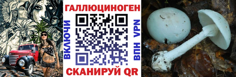 Купить  Бежецк  Псилоцибиновые грибы Psilocybe 