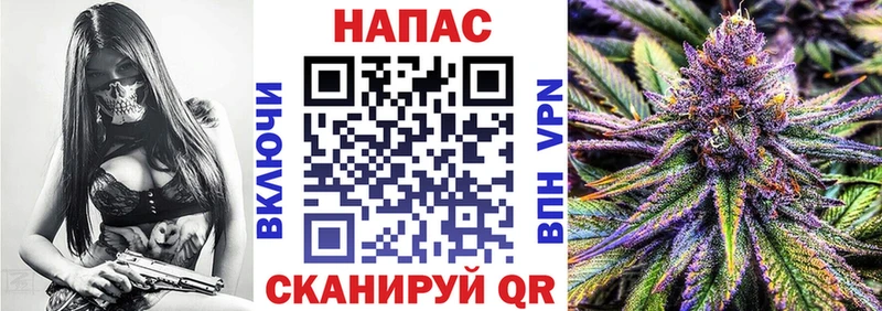 Купить  Бежецк  Канабис план 